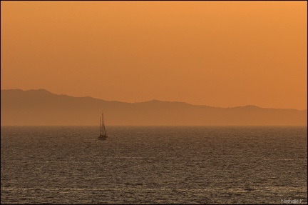 DSC 4769